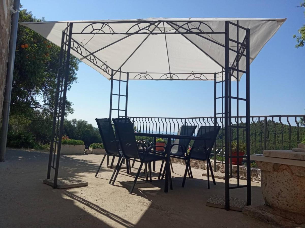 Holiday Apartments Maslina Paho Babino Polje Ngoại thất bức ảnh