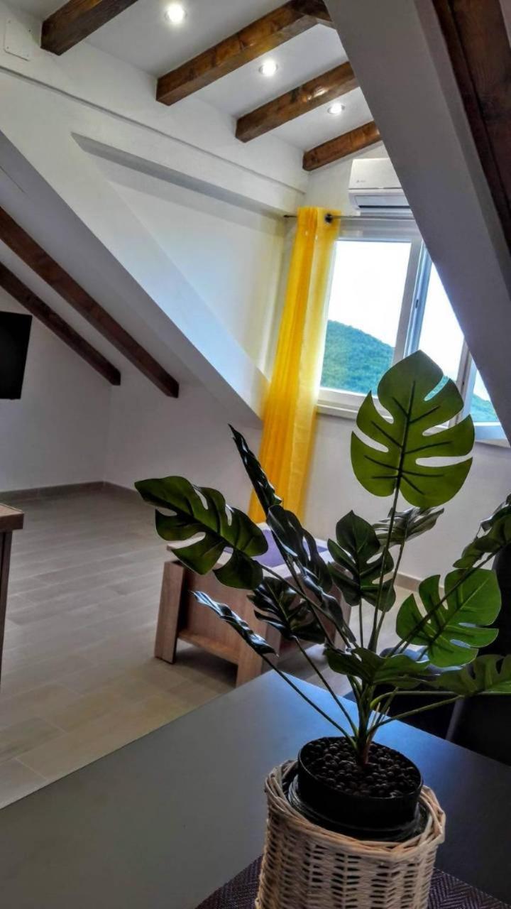 Holiday Apartments Maslina Paho Babino Polje Ngoại thất bức ảnh